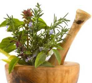 Herbs