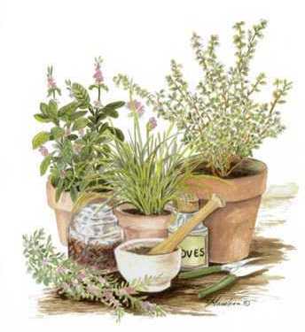Herbs